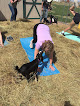 Pet boarding services Pine Ranch in Carpenter in Wyoming
