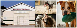 Pet boarding services Pine Ridge Pet Resort in Shelbyville in Indiana