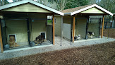 Pet boarding services Pioneer K-9 Kennels in Federal Way in WA
