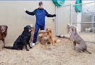 Pet boarding services Planet Canine in San Rafael in California