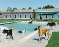 Pet boarding services Playful Pawz - A Canine Pet Resort in Kemah in TX