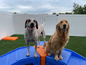 Pet boarding services Pleasant Pooch Daycare, Training And Dock Diving in Edmond in Oklahoma