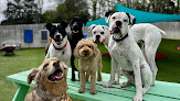 Pet boarding services Pleasant View Pet Spa & Country Boarding in Pleasant View in Cheatham