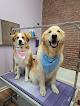 Pet boarding services Pleasantly Pampered Grooming in Bangor in Maine