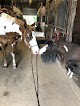 Pet boarding services Pleasure Circle Farm in Gonzales in Louisiana