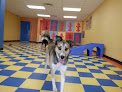 Pet boarding services Pocatello Pet Lodge in Pocatello in Idaho