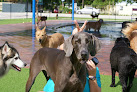 Pet boarding services Pompano Pet Lodge in Pompano Beach in Florida