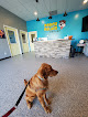 Pet boarding services Pooch Palace Resort - West Lafayette in West Lafayette in Indiana