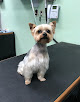 Pet boarding services Poochie's Pet Club Pet Grooming in Visalia in CA
