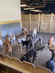 Pet boarding services Port City Pups in Mobile in Alabama
