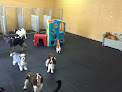 Pet boarding services Positive Approach Dog Training & Daycare in Tacoma in WA