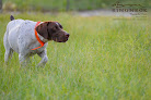 Pet boarding services Post Rock Kennels in Tipton in Kansas