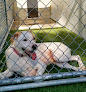 Pet boarding services Prairie Paws Llc in Winfield in Kansas