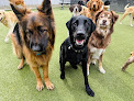Pet boarding services Prairie Peak Kennels in Battle Lake in MN