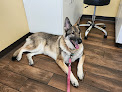 Pet boarding services Prairie Ridge Animal Hospital in Wichita in Kansas