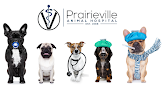 Pet boarding services Prairieville Animal Hospital in Prairieville in Louisiana