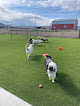 Pet boarding services Premier Pet Lodge in Francis in Utah