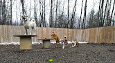 Pet boarding services Premier Pet Lodge in Isle in MN