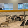 Pet boarding services Preppy Pet St Petersburg in St. Petersburg in FL