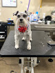 Pet boarding services Pretty Paws in Elk River in MN