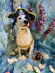 Pet boarding services Pretty Pooch Plus Pet & Play in Bradenton in FL