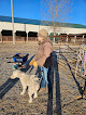 Pet boarding services Pretty-horses Horse Motel in Chapman in Kansas