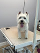 Pet boarding services Princess Princess Dog Grooming Studio For Small Breeds in Lexington in Kentucky