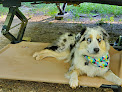 Pet boarding services Prodigy Pups Dog Training Llc in Little Falls in MN