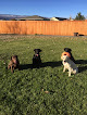 Pet boarding services Profield Kennels Llc in Elm Creek in Nebraska