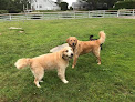 Pet boarding services Puddleduck Boarding Kennel in Morrill in Waldo