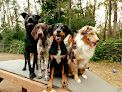 Pet boarding services Puget Hound in Bellingham in WA