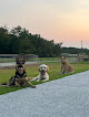 Pet boarding services Puppy Love Inn Boarding And Doggy Daycare in Soperton in Treutlen