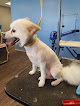 Pet boarding services Puppy Love Pet Grooming in Sioux Falls in SD