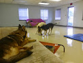 Pet boarding services Puppy Manor in Tampa in Hillsborough