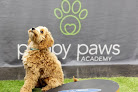 Pet boarding services Puppy Paws Hotel & Spa in Edmond in Oklahoma