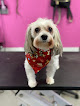 Pet boarding services Puptown Girls in Paragould in Arkansas