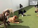 Pet boarding services Purr’n Pooch Pet Resort in Manasquan in Monmouth