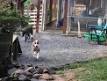 Pet boarding services Quail Ridge Sporting Club & Boarding Kennels in Lexington in Virginia