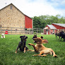 Pet boarding services Queen Of The Valley Farm A Pet Resort in Zionsville in Pennsylvania