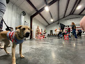 Pet boarding services R And R Kennels Llc in Pottsville in Arkansas
