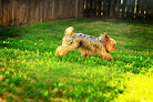 Pet boarding services Ranchwood Pet Resort in Oklahoma City in OK