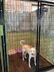 Pet boarding services Rawhide Ranch Dog Boarding in Mulvane in KS