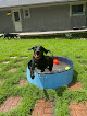 Pet boarding services Red Oaks Pet Inn in Brainerd in MN