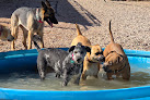 Pet boarding services Red Rover Retreat At The Hitch'n Post in Cedar City in Utah