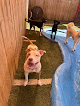 Pet boarding services Red Woof Canine Training Center And Boarding in Hamilton in Georgia