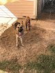 Pet boarding services Red Woof Inn Pet Hotel in Brooksville in Florida