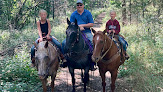 Pet boarding services Reurinkhorses.com in Beresford in South Dakota