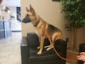 Pet boarding services Richmond Veterinary Clinic in Richmond in Kentucky