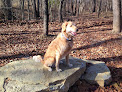 Pet boarding services Rin Tin Inn & Luxury Suites, Llc in Crawfordsville in Indiana