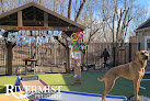 Pet boarding services Rivermist Pet Lodge in Brinklow in Maryland